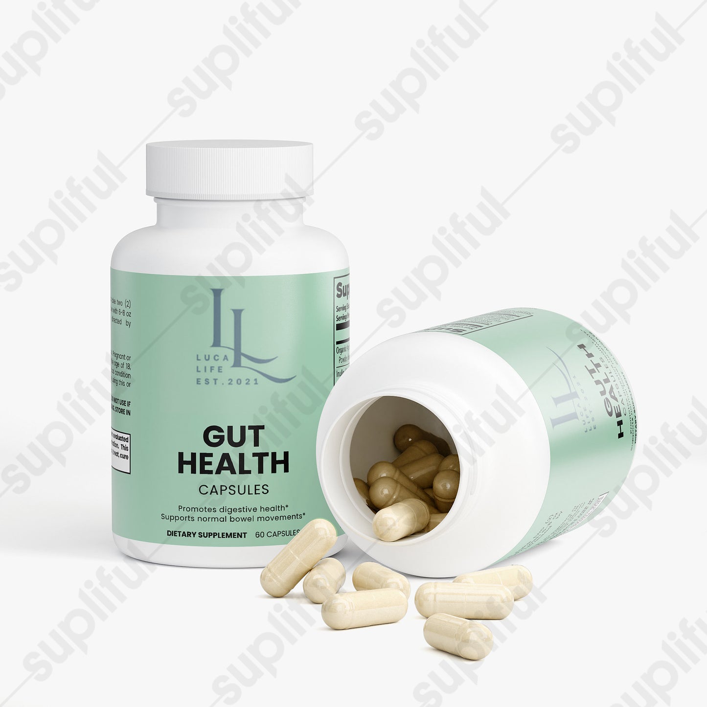 Gut Health